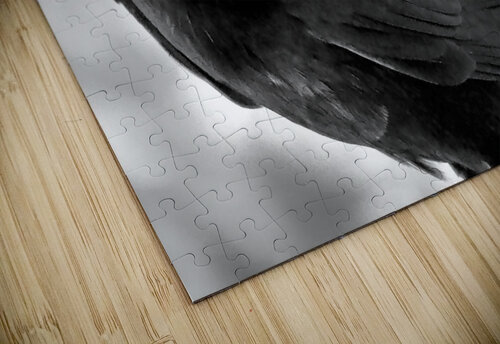 500 0183 Terry L Fisher puzzle