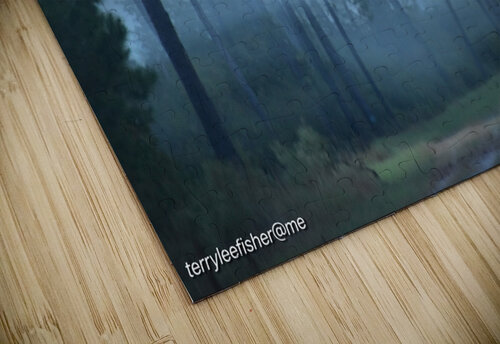 DSC 0101 Terry L Fisher puzzle
