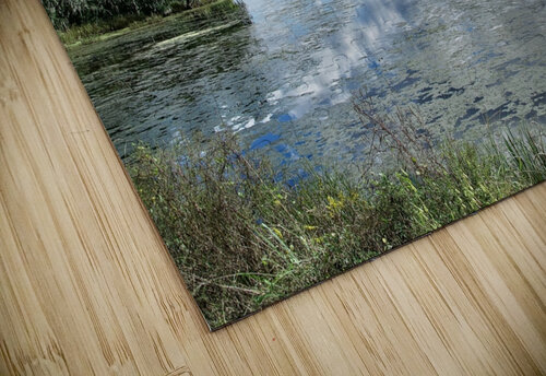 500 0035 Terry L Fisher puzzle