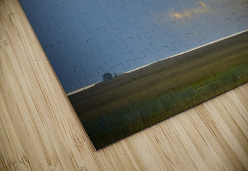 500 0337 Terry L Fisher puzzle