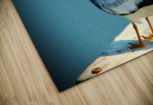 500 1730 Terry L Fisher puzzle