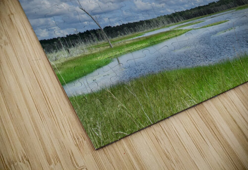 500 0041 Terry L Fisher puzzle