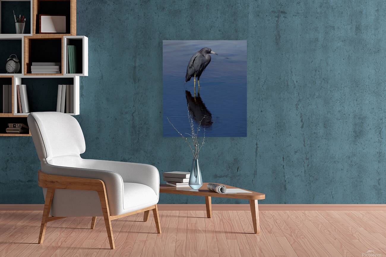 DSC 5316 topaz denoise sharpen Reproduction