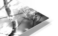 IMG 5496 HD Metal print