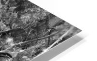 500 0019 HD Metal print