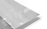 500 0635 HD Metal print