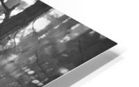 500 1787 HD Metal print