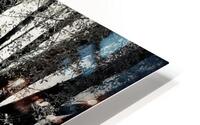 500 0764 HD Metal print