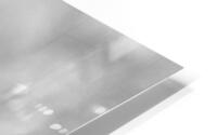 500 0183 HD Metal print