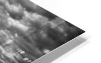 IMG 2520 HD Metal print