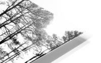 500 0141 HD Metal print