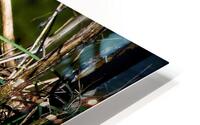 500 0024 HD Metal print