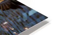 500 0214 HD Metal print
