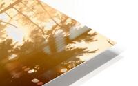 IMG 3596 HD Metal print
