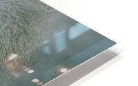 DSC 3069 HD Metal print