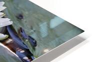 IMG 1802 HD Metal print