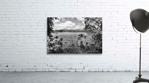 DSC 2755 Wall Preview