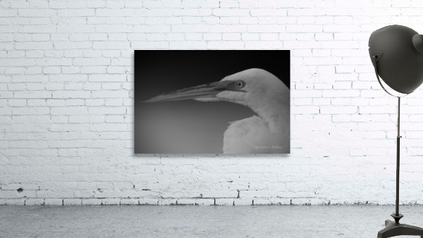 500 0273 Wall Preview