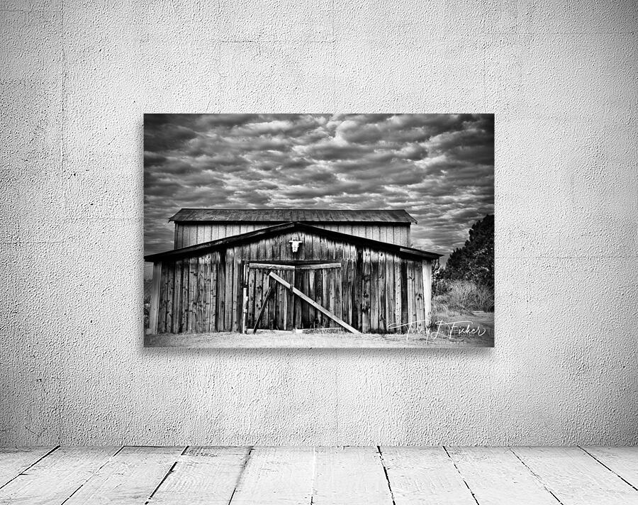 IMG 2520 Wall Preview