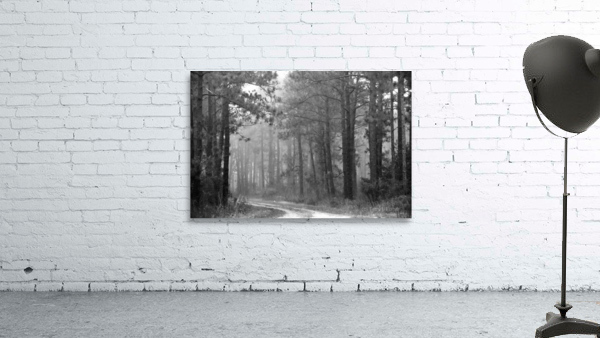 DSC 0002 Wall Preview