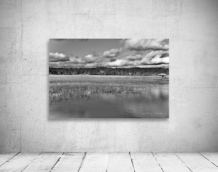 500 0198 Wall Preview