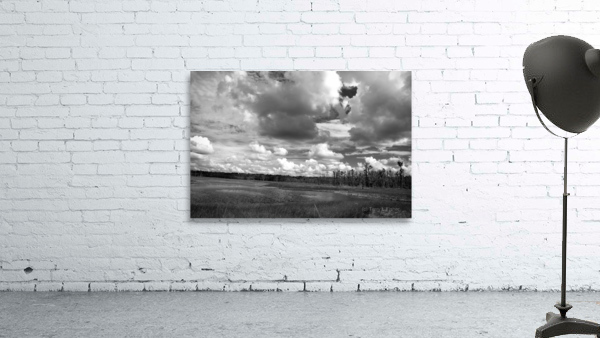 500 0042 Wall Preview
