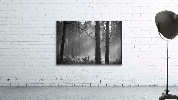 500 1787 Wall Preview