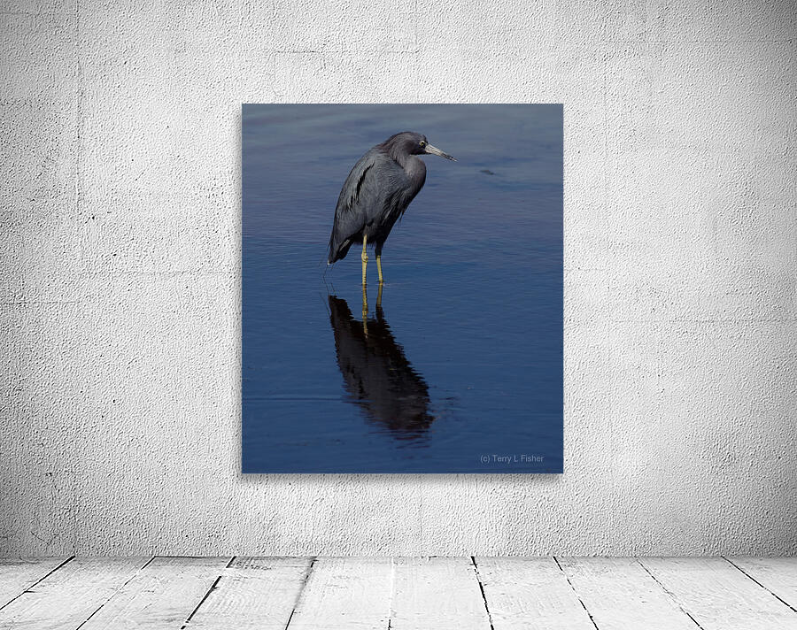 DSC 5316 topaz denoise sharpen Wall Preview