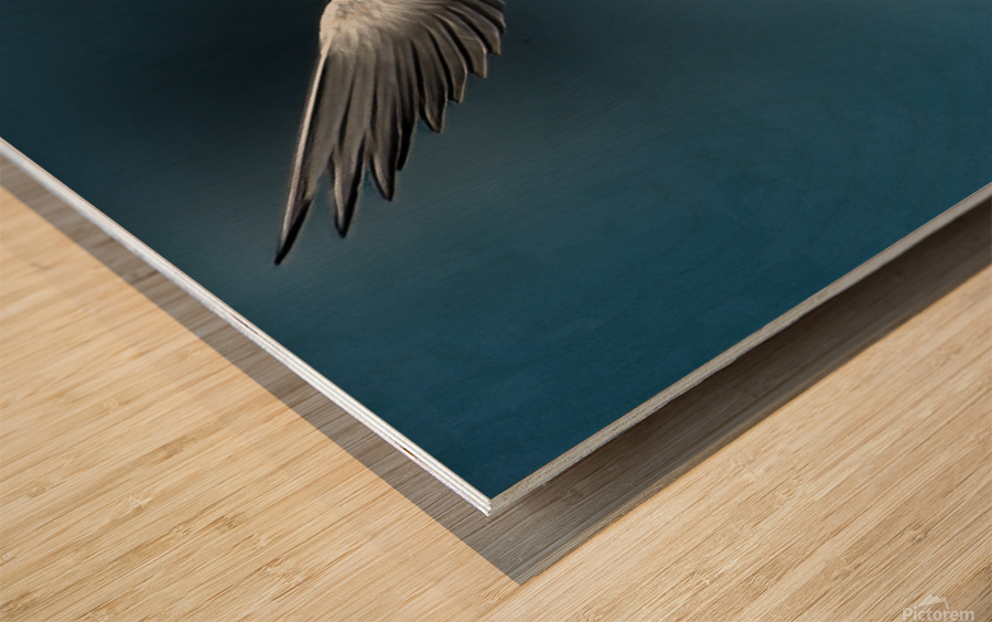 Tern on the hunt Wood print