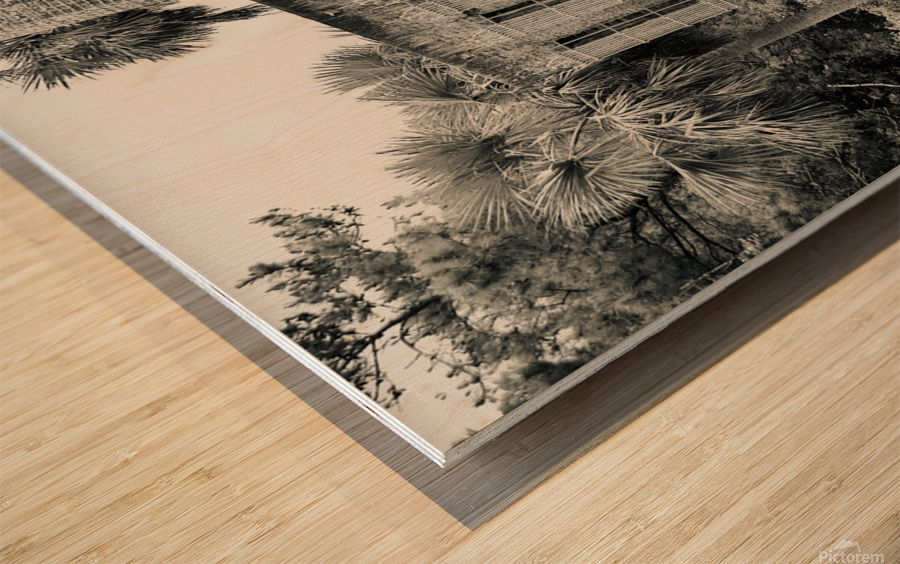 DSC 2765 Wood print