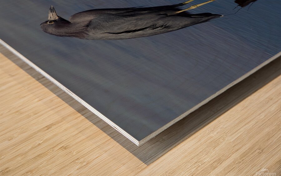 DSC 5316 topaz denoise sharpen Wood print