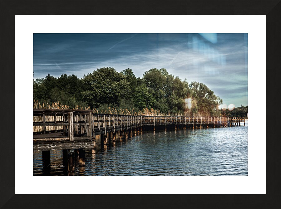 Niagara Region Beaverdams Park Picture Frame print