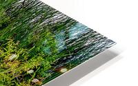Canoe in Pond HD Metal print