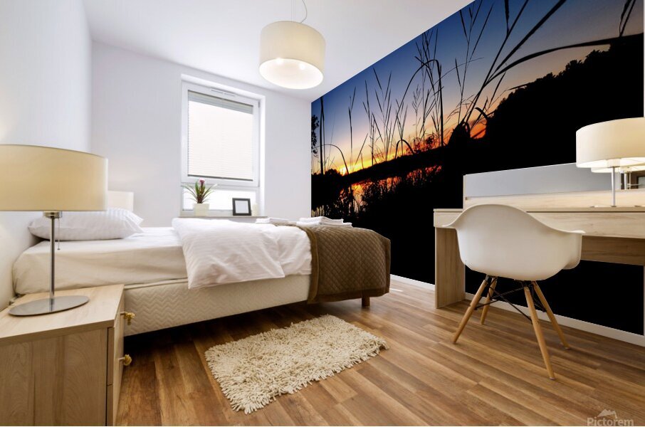 Sunset Through the Reeds Mural print