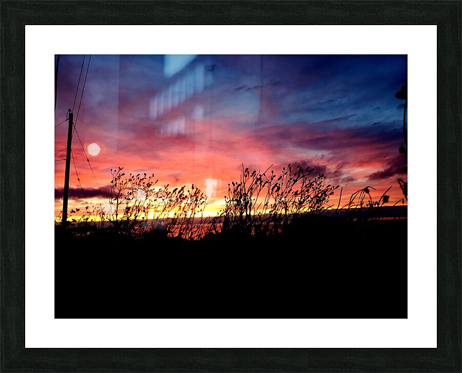 Flowers at Sunset Picture Frame print