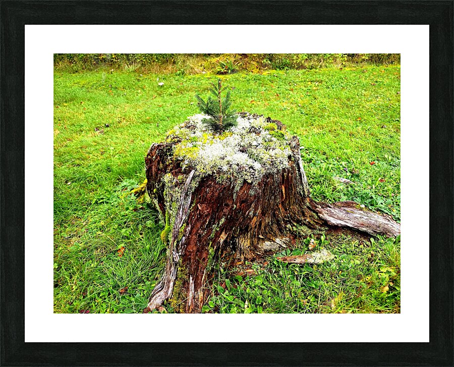 New Beginnings - landscape Picture Frame print