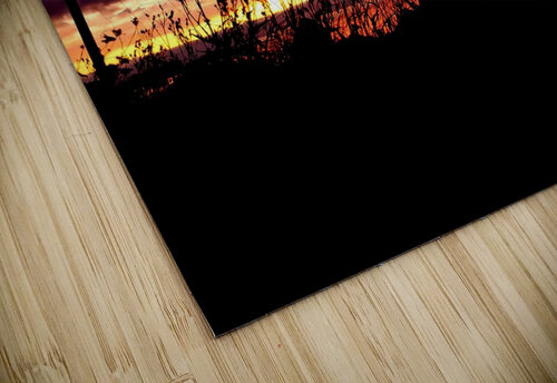 Flowers at Sunset Forest Wytch Photography puzzle
