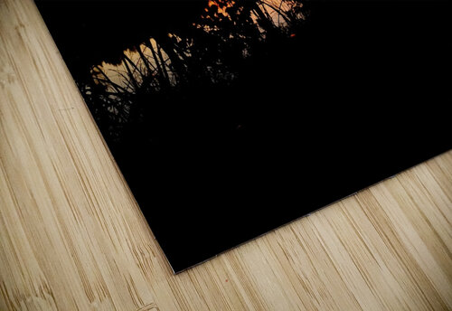 Sunset Through the Reeds Forest Wytch Photography puzzle