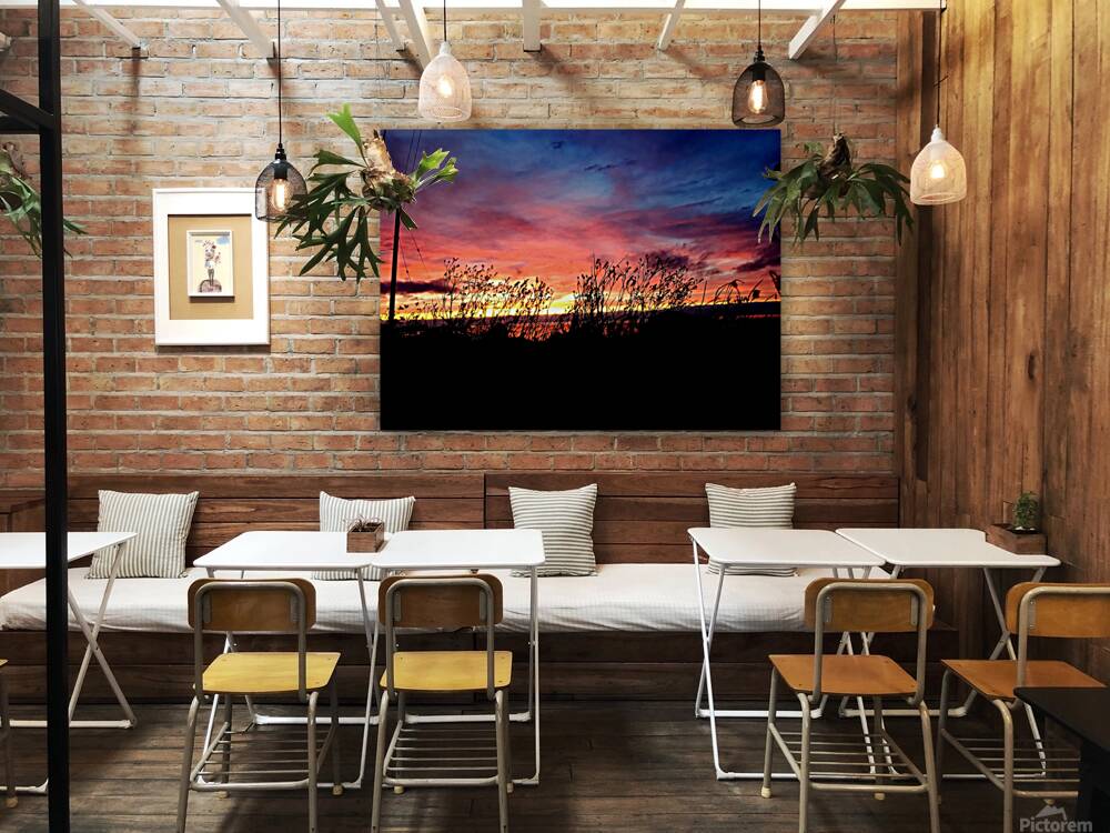 Flowers at Sunset Reproduction