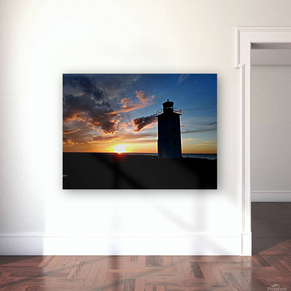 Seaside Sentinel Reproduction