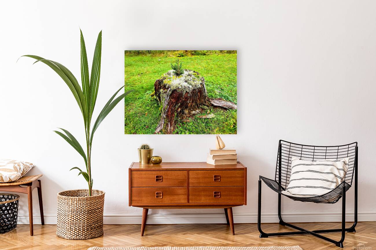New Beginnings - landscape Reproduction