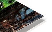 Quiet Forest Pond HD Metal print