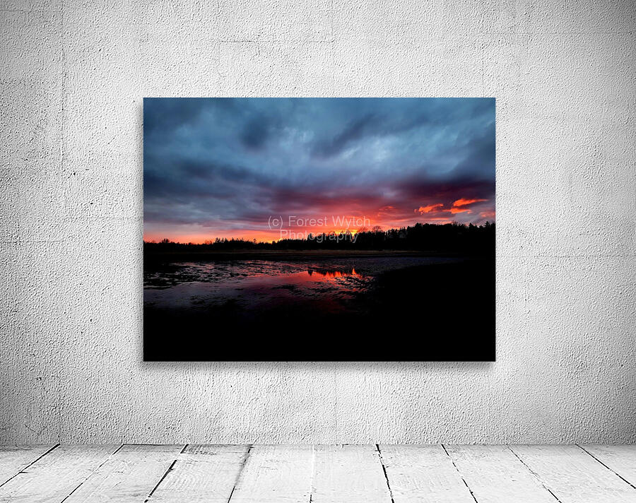 Warm Summer Reflections Wall Preview