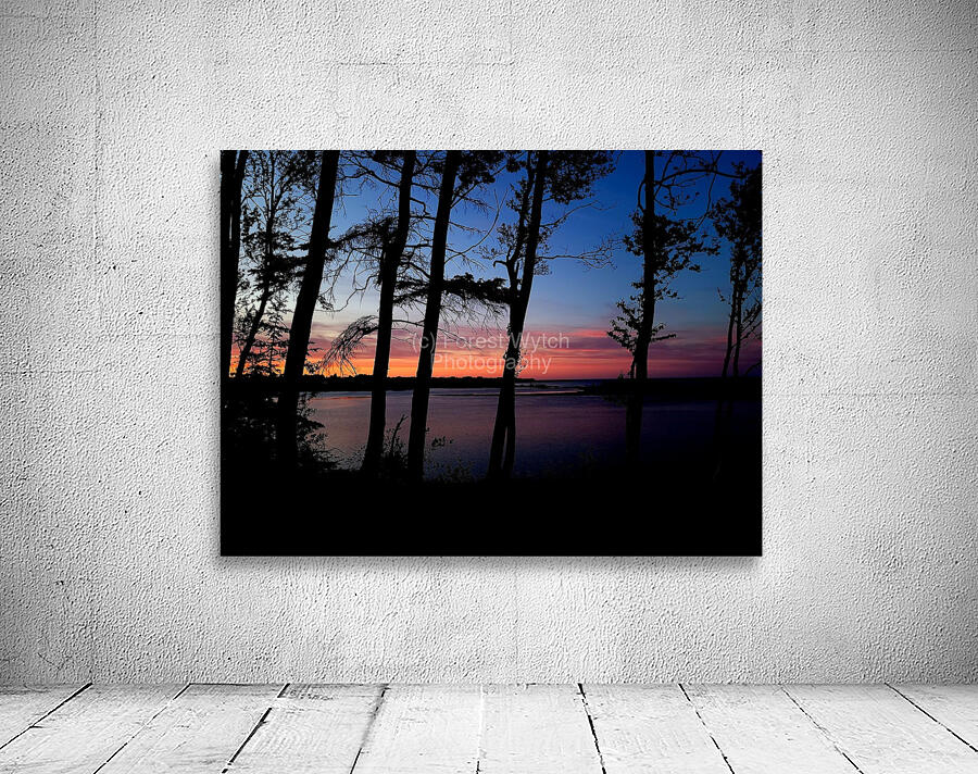Seaside Forest Wall Preview