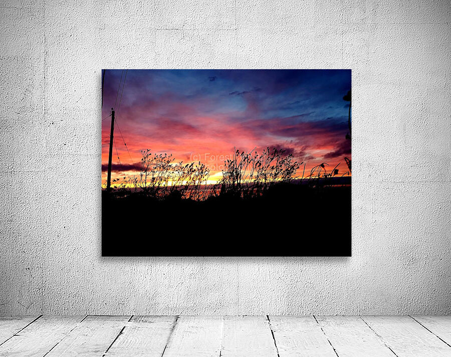 Flowers at Sunset Wall Preview