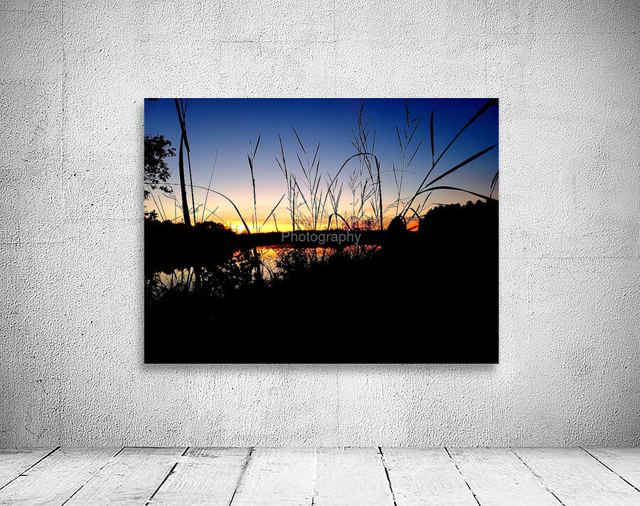 Sunset Through the Reeds Wall Preview