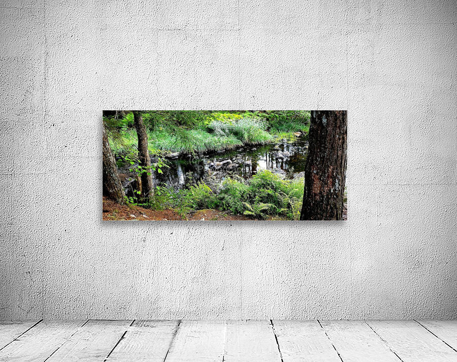 Quiet Forest Pond Wall Preview
