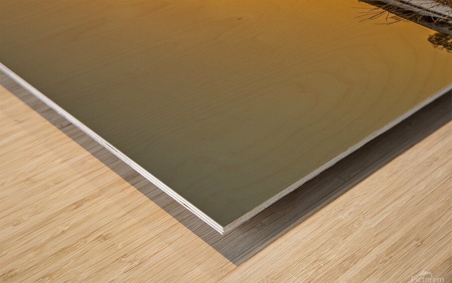 Sunrise over a Farmers field Wood print