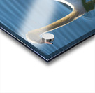 Swan 03 Acrylic print