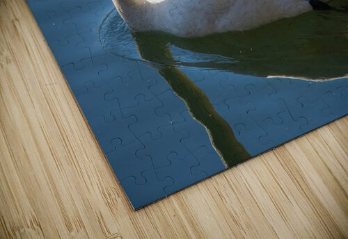 Swan 03 jarrodswilliams puzzle